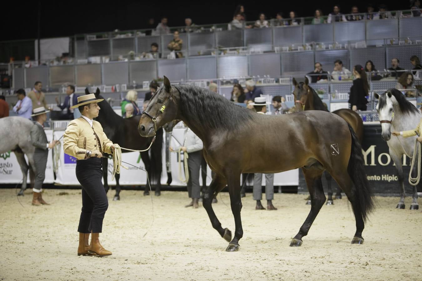 Los expositores y espectáculos de caballos contaron con numerosos asistentes