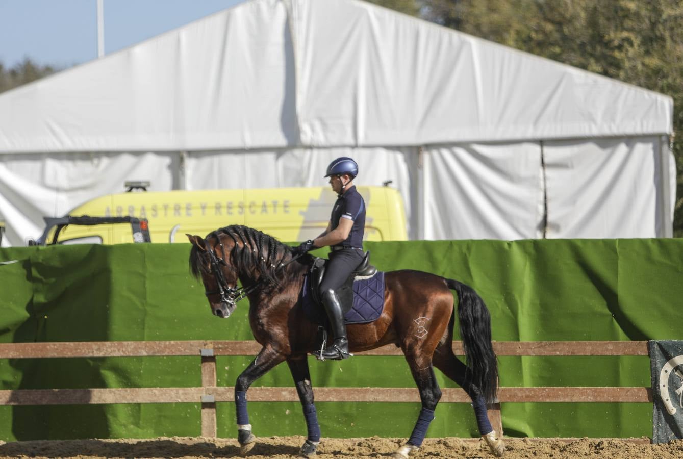 Los expositores y espectáculos de caballos contaron con numerosos asistentes