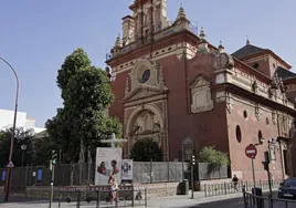El Ayuntamiento de Sevilla trabajará sobre las raíces del ficus de San Jacinto para mejorar su estructura