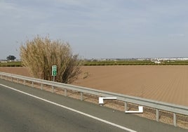 Muere un hombre en una colisión múltiple en Alcalá del Río