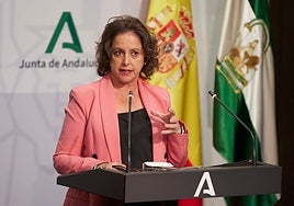 Salud admite la tensión en las Urgencias en Sevilla y podría suspender actividades en los hospitales para afrontarla