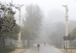 Las imágenes que ha dejado la niebla en el parque de María Luisa de Sevilla
