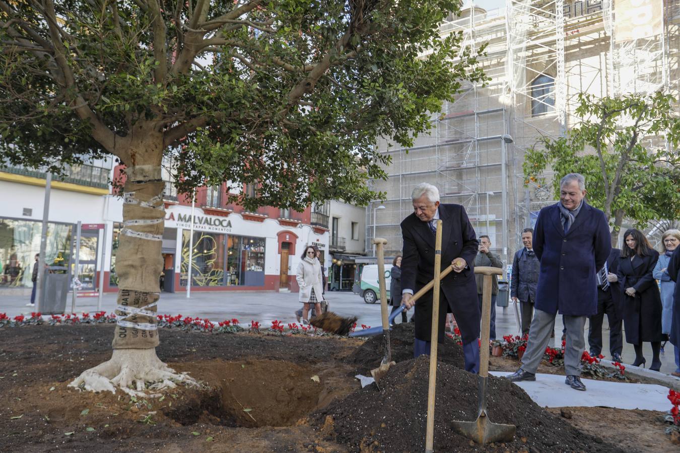 José Luis Sanz y el presidente de la Cámara de Comercio de Sevilla, Francisco Herrero, siembran el ficus 