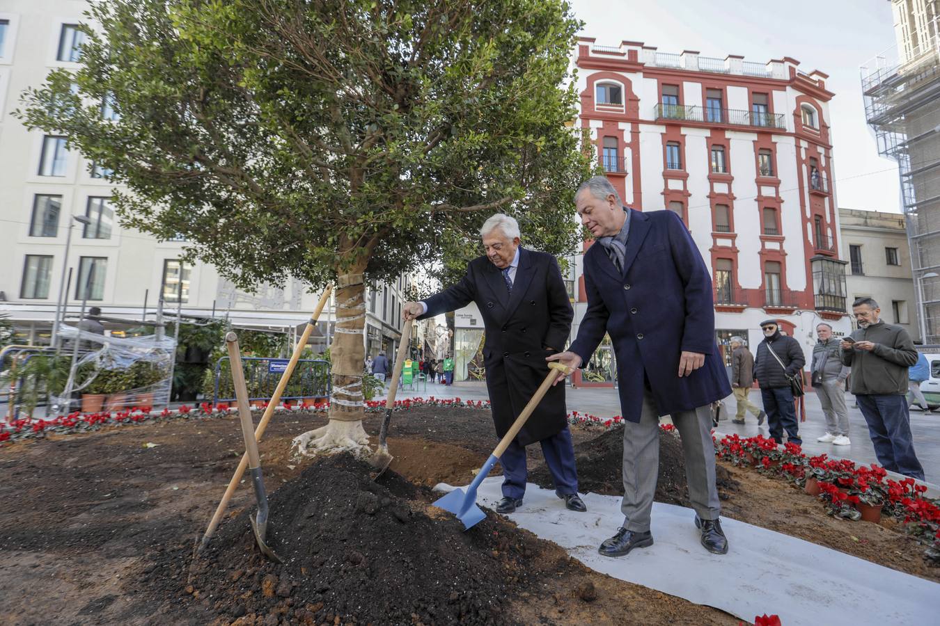 José Luis Sanz y el presidente de la Cámara de Comercio de Sevilla, Francisco Herrero, siembran el ficus 