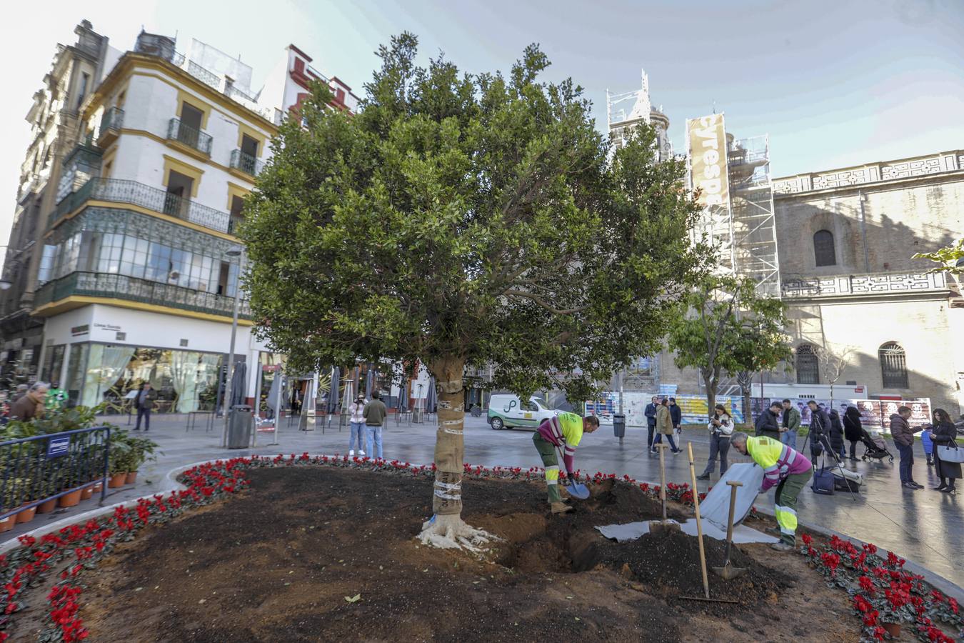José Luis Sanz y el presidente de la Cámara de Comercio de Sevilla, Francisco Herrero, siembran el ficus 