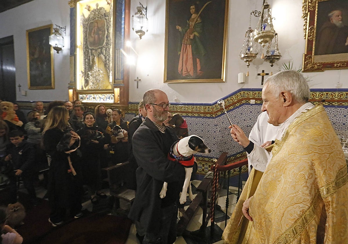 La Pastora de Santa Marina acoge la tradicional bendición de animales por San Antón