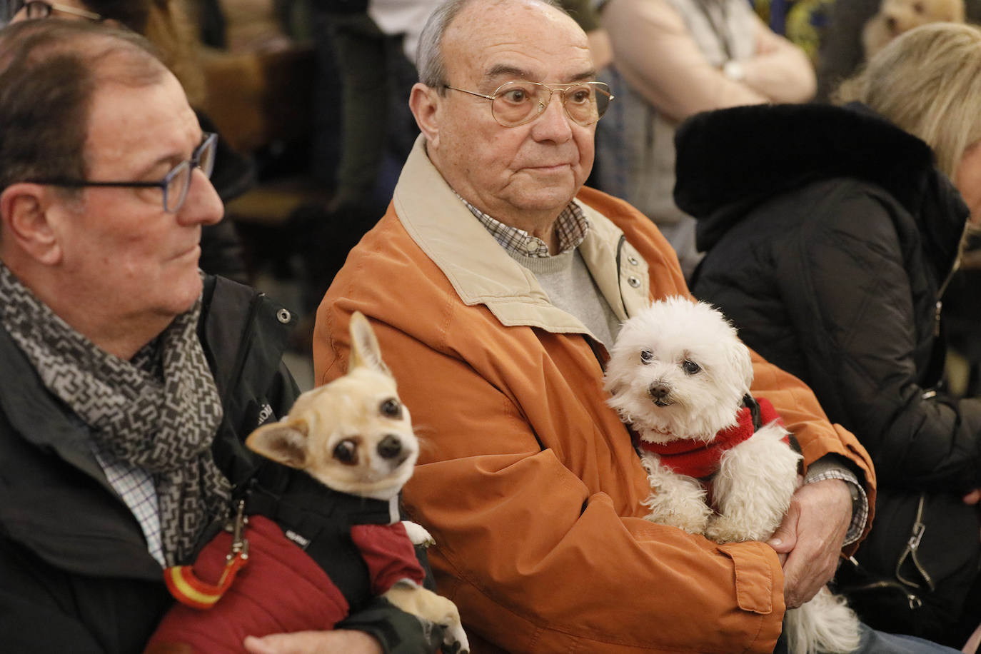 La Pastora de Santa Marina acoge la tradicional bendición de animales por San Antón
