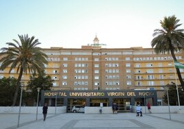 El Virgen del Rocío es el hospital más tensionado de Sevilla por el brote de gripe A, que repunta un 30 por ciento