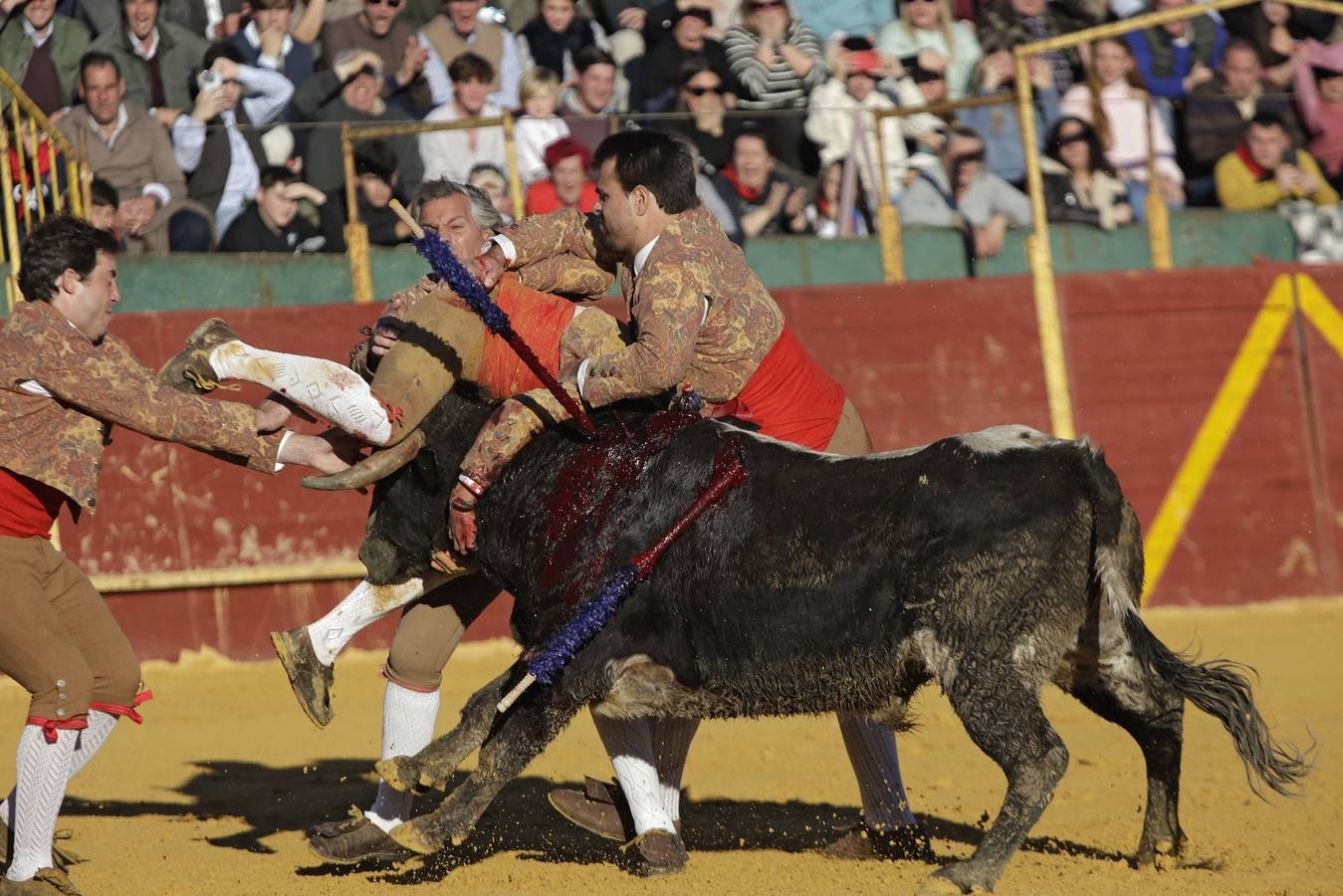 Momentos del encierro celebrado este sábado en La Puebla del Río