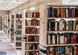 El Ayuntamiento de Sevilla convoca cuatro plazas de empleo público como auxiliar de biblioteca: requisitos y plazos