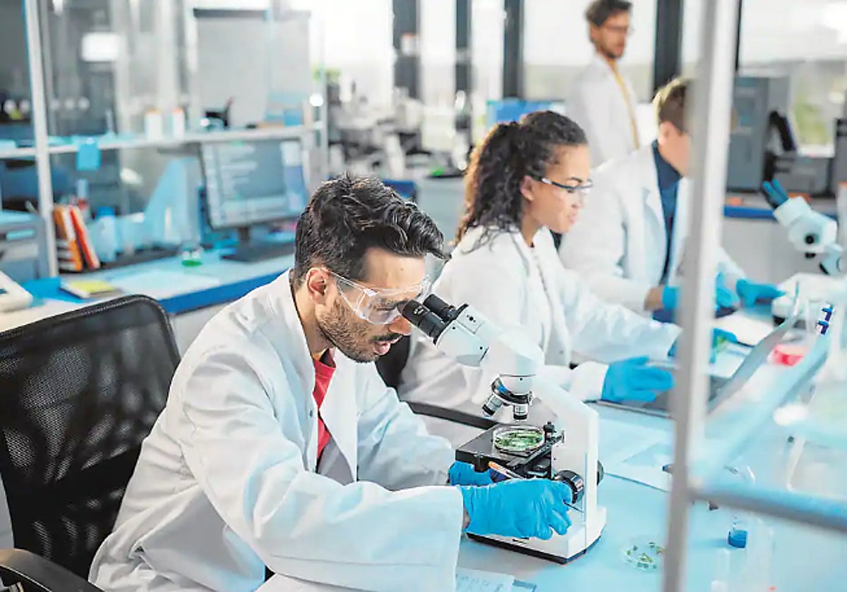 Estos son los FP con más salidas laborales en 2024: sueldos desde 1.500 euros