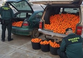 Le encuentran en su coche los 400 kilos de naranjas que acababan de ser robados en Lora del Río