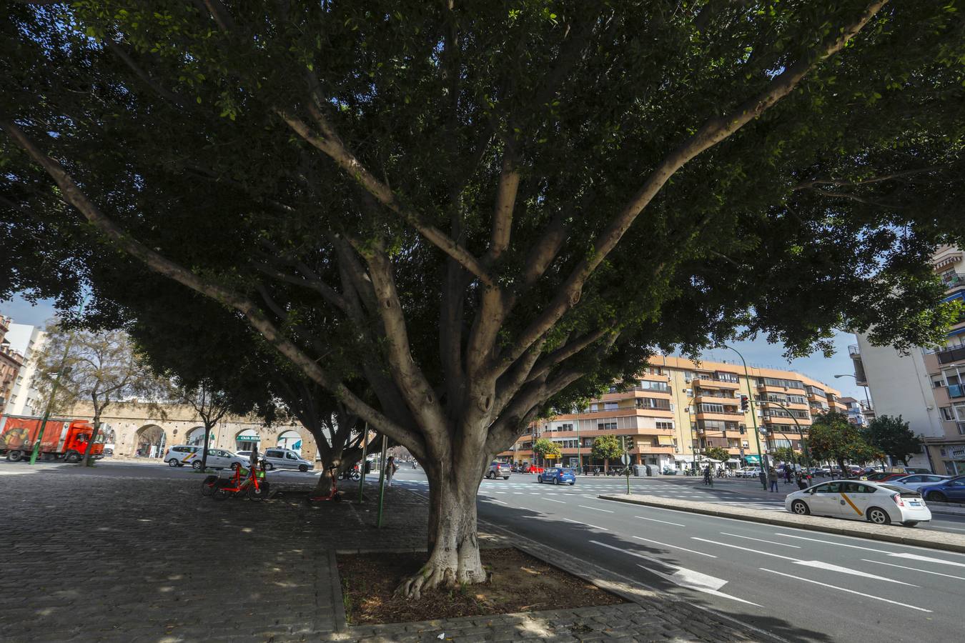 Imágenes del barrio de la Calzada, en pleno corazón de Sevilla