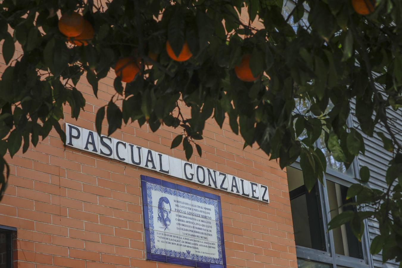 Imágenes del barrio de la Calzada, en pleno corazón de Sevilla