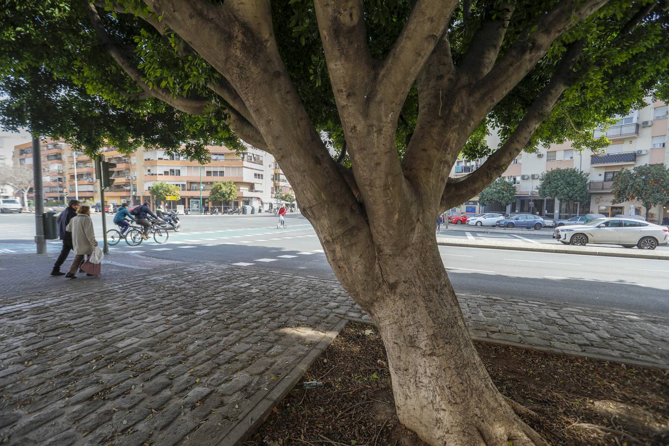 Imágenes del barrio de la Calzada, en pleno corazón de Sevilla