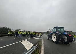 Tractoradas de agricultores en Andalucía, en directo: continúan las protestas y los cortes de carreteras