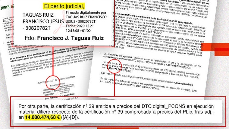 Extractos del informe pericial