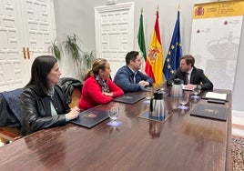 El Ayuntamiento de Sevilla pide más policías para luchar contra los enganches ilegales que provocan cortes de luz