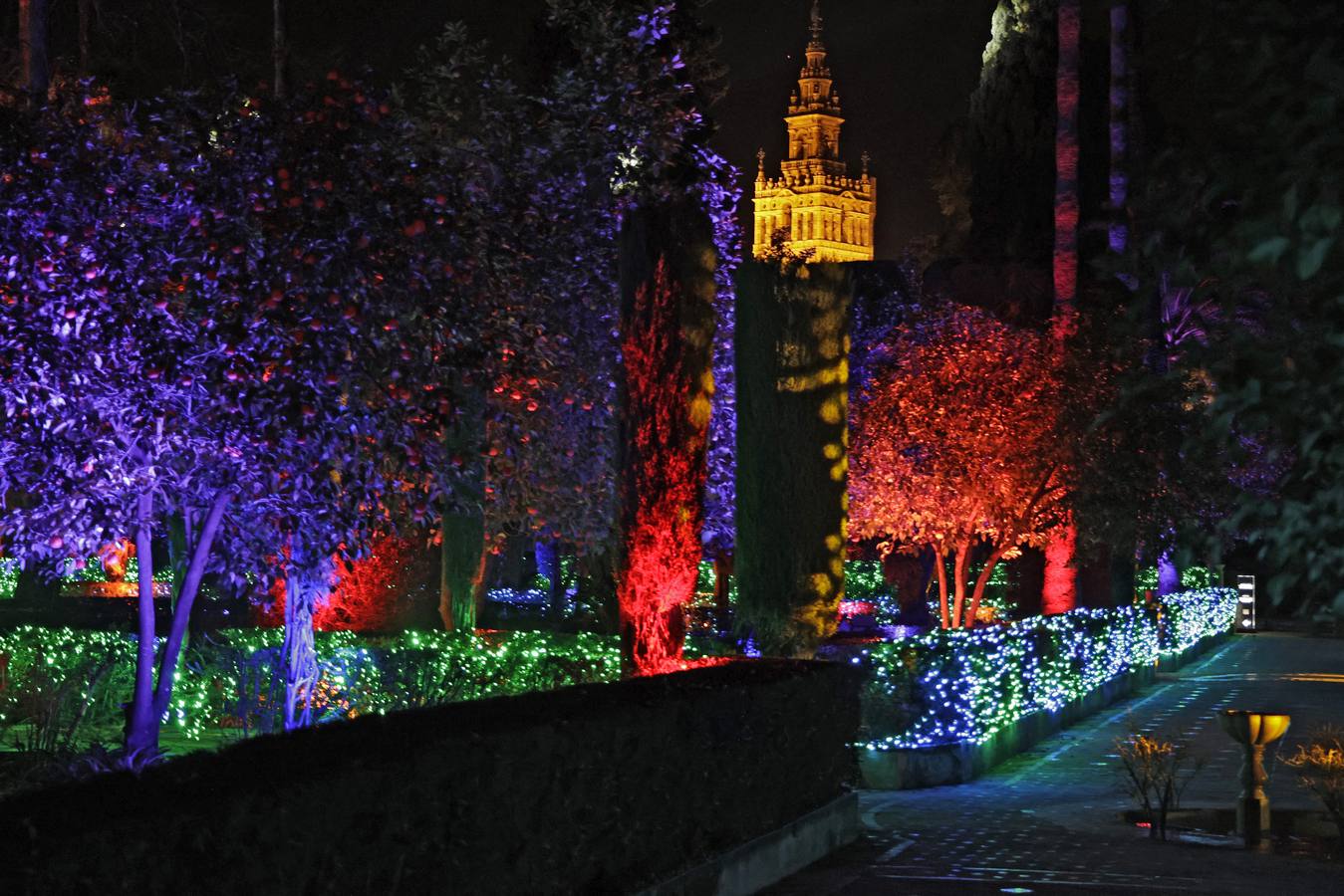 Los jardines del Alcázar durante el espectáculo de luz y color que aumenta aún más si cabe la belleza de este espacio