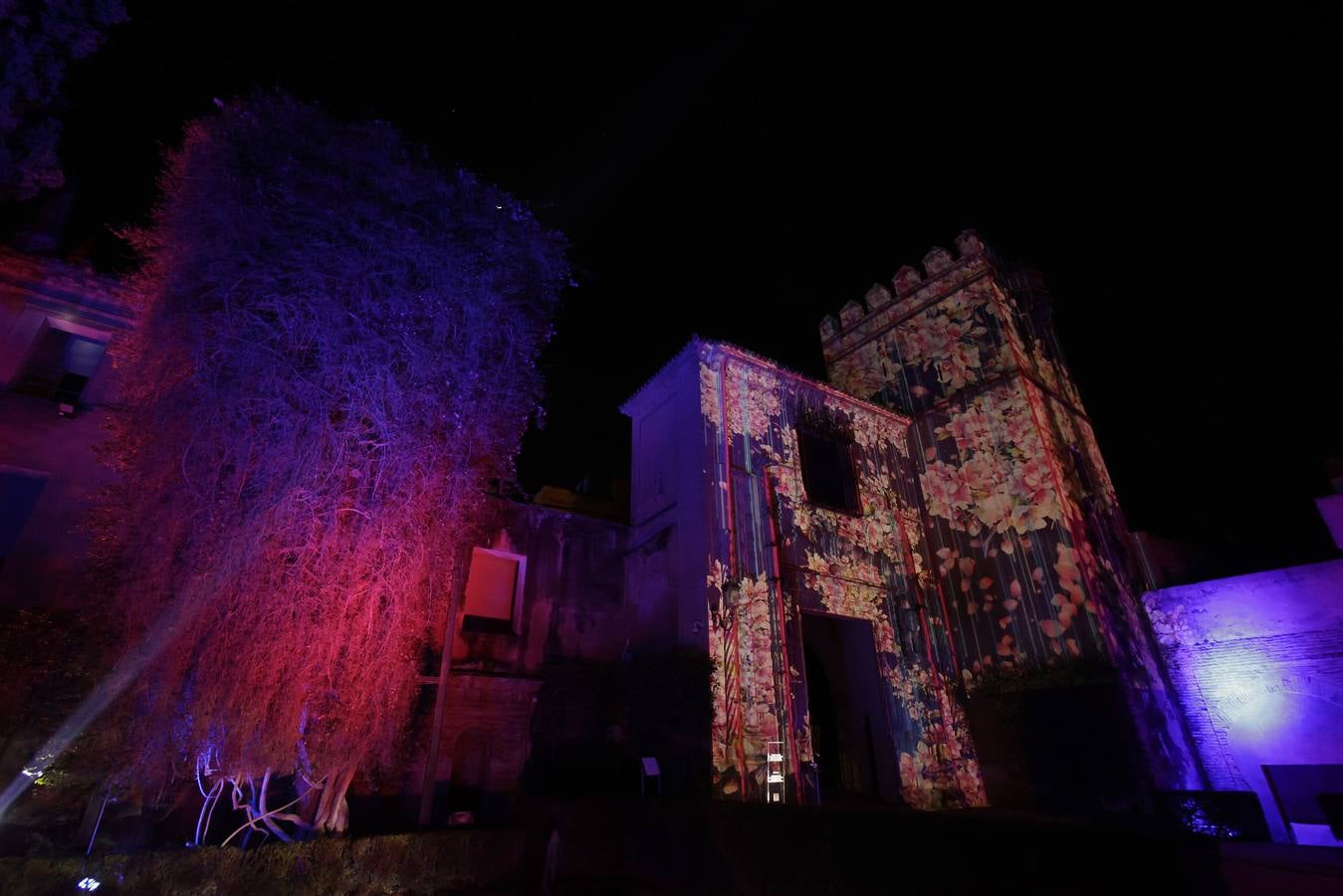 Los jardines del Alcázar durante el espectáculo de luz y color que aumenta aún más si cabe la belleza de este espacio