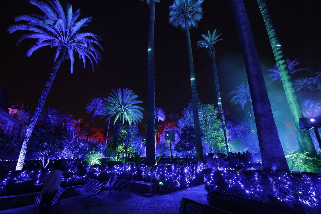 Los jardines del Alcázar durante el espectáculo de luz y color que aumenta aún más si cabe la belleza de este espacio
