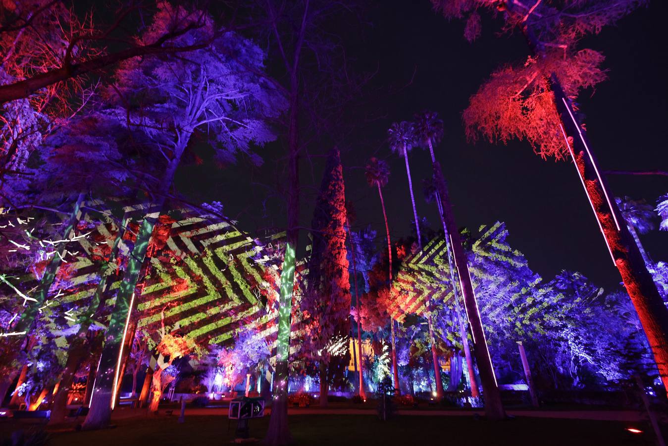 Los jardines del Alcázar durante el espectáculo de luz y color que aumenta aún más si cabe la belleza de este espacio