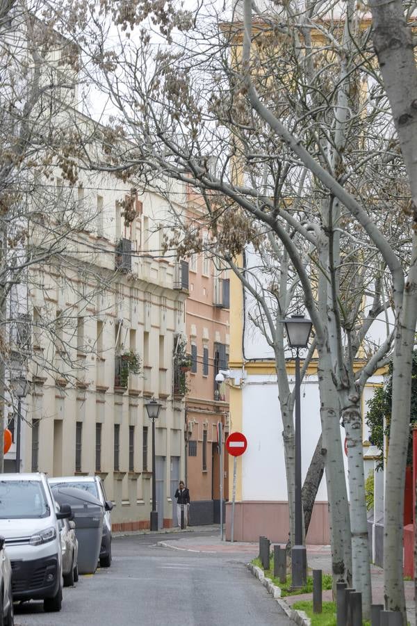 Calles y vecinos de el barrio de El Porvenir