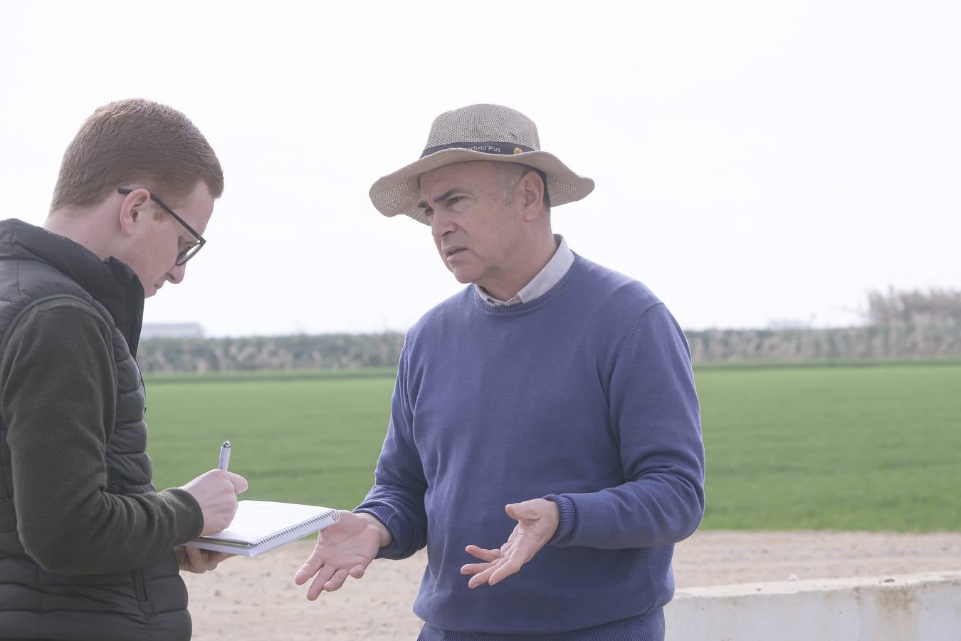 La sequía está causando estragos en los arrozales de Isla Mayor