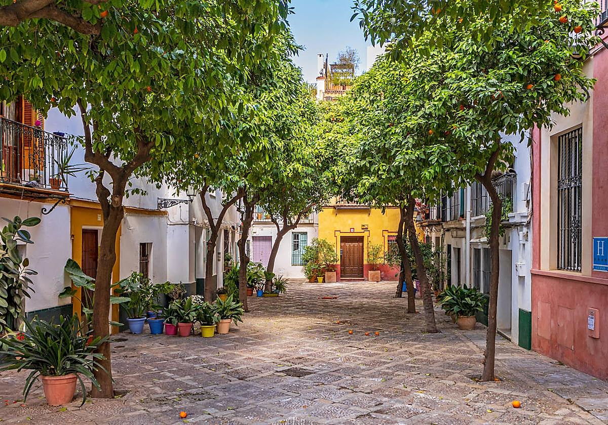 El nomenclátor de Sevilla deja muchas curiosidades