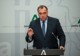 El consejero de Turismo y Cultura respalda cobrar por visitar la Plaza de España de Sevilla