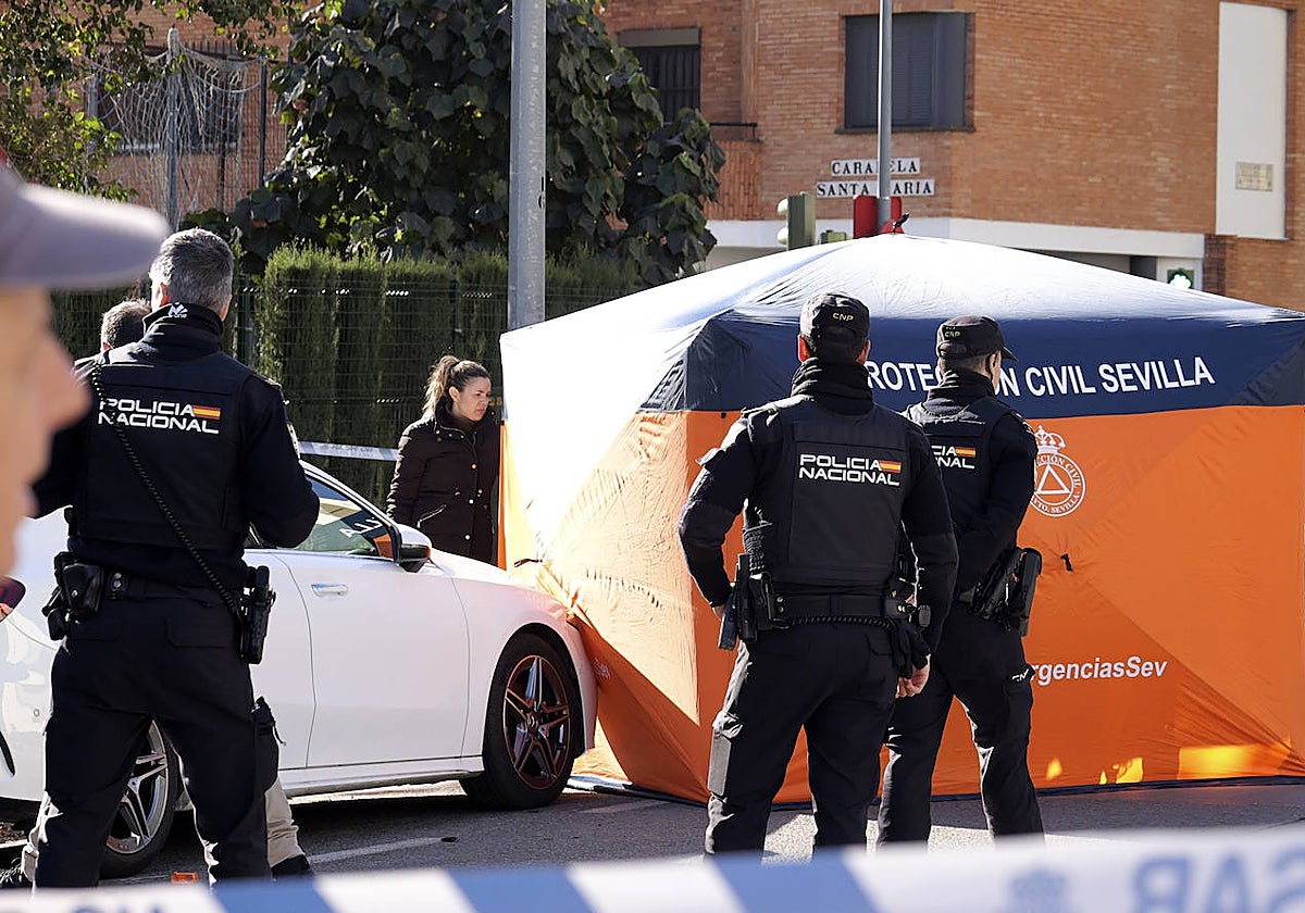 Agentes de la Policía Nacional junto a la tienda instalada por Protección Civil para reservar al cadáver