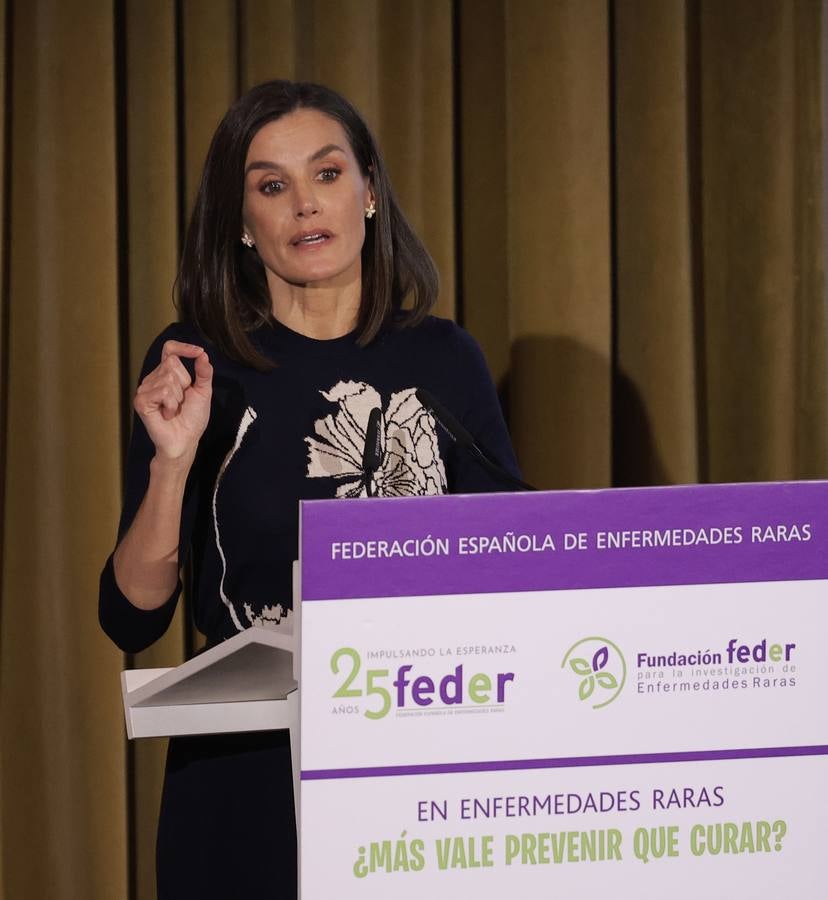 Momento del acto oficial al que ha asistido la Reina Doña Letizia, muy comprometida con la investigación de las enfermedades raras