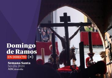 Domingo de Ramos en Sevilla 2024, en directo: termina un Domingo de Ramos con tres hermandades refugiadas en la Catedral