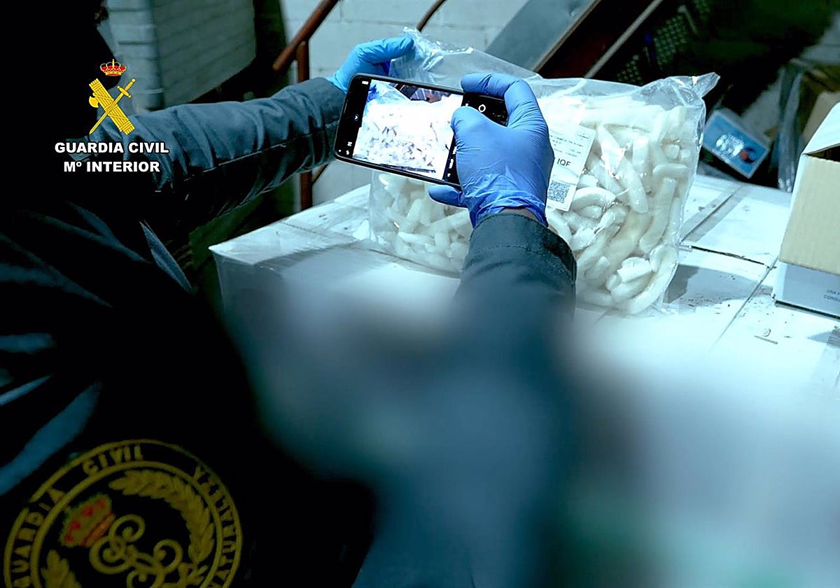 El Seprona con el cargamento de pescado caducado