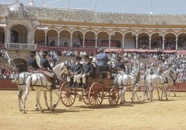 Sevilla se rinde ante la belleza y la majestuosidad de los enganches en la Maestranza