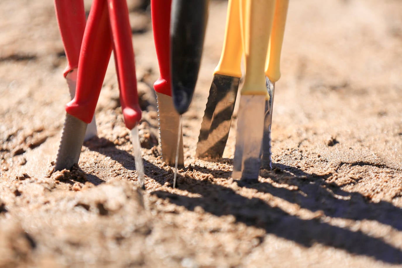 Los agentes inspeccionan una explotación agrícola en Villamanrique de la Condesa