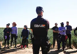En imágenes, ABC acompaña a la Policía Nacional a una explotación agrícola en Villamanrique