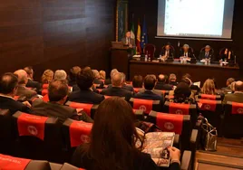 La Cámara de Comercio de Sevilla se posiciona a favor de la tasa turística: «Una herramienta eficaz para asegurar un desarrollo turístico más equilibrado»