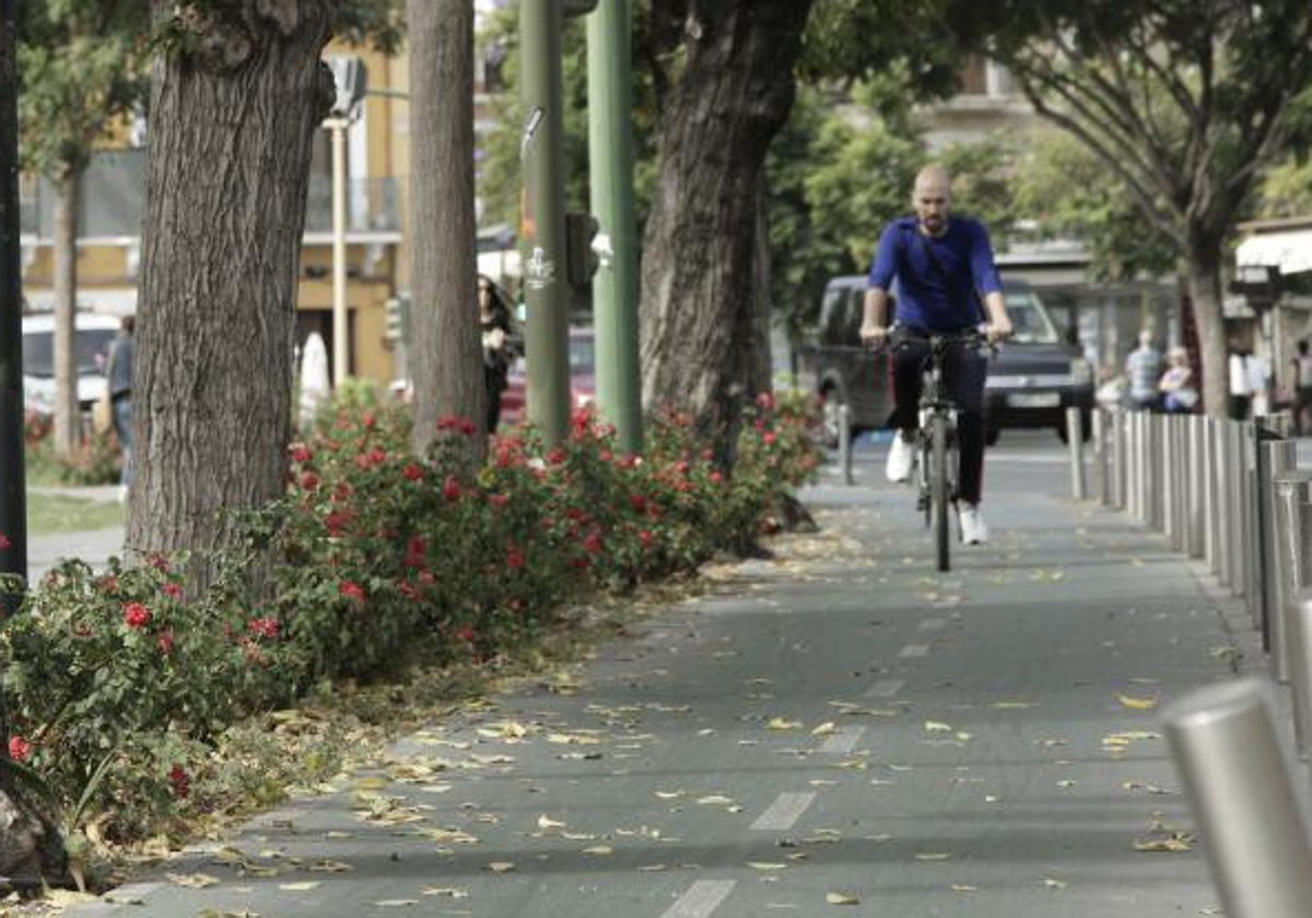 Un usuario recorriendo el carril bici de Sevilla