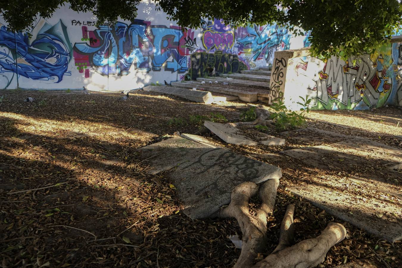 Deterioro y abandono en la orilla del río a su paso por La Cartuja y en el Paseo de Juan Carlos I