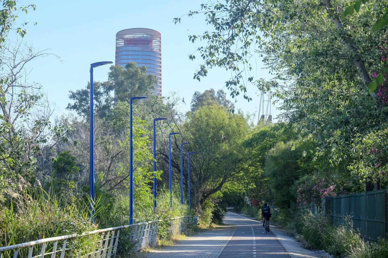 Deterioro y abandono en la orilla del río a su paso por La Cartuja y en el Paseo de Juan Carlos I