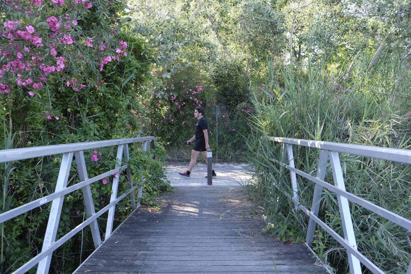 Deterioro y abandono en la orilla del río a su paso por La Cartuja y en el Paseo de Juan Carlos I