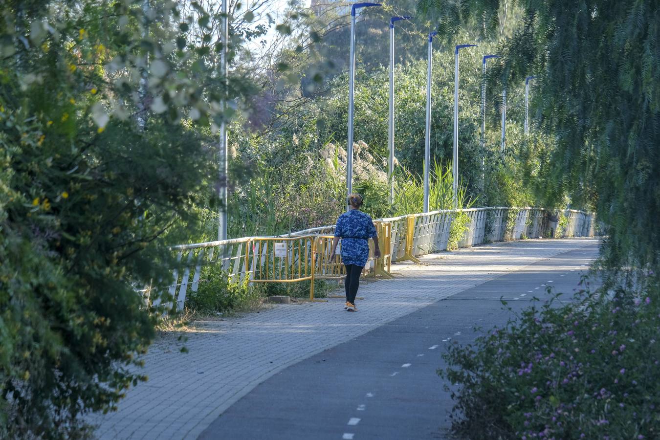 Deterioro y abandono en la orilla del río a su paso por La Cartuja y en el Paseo de Juan Carlos I