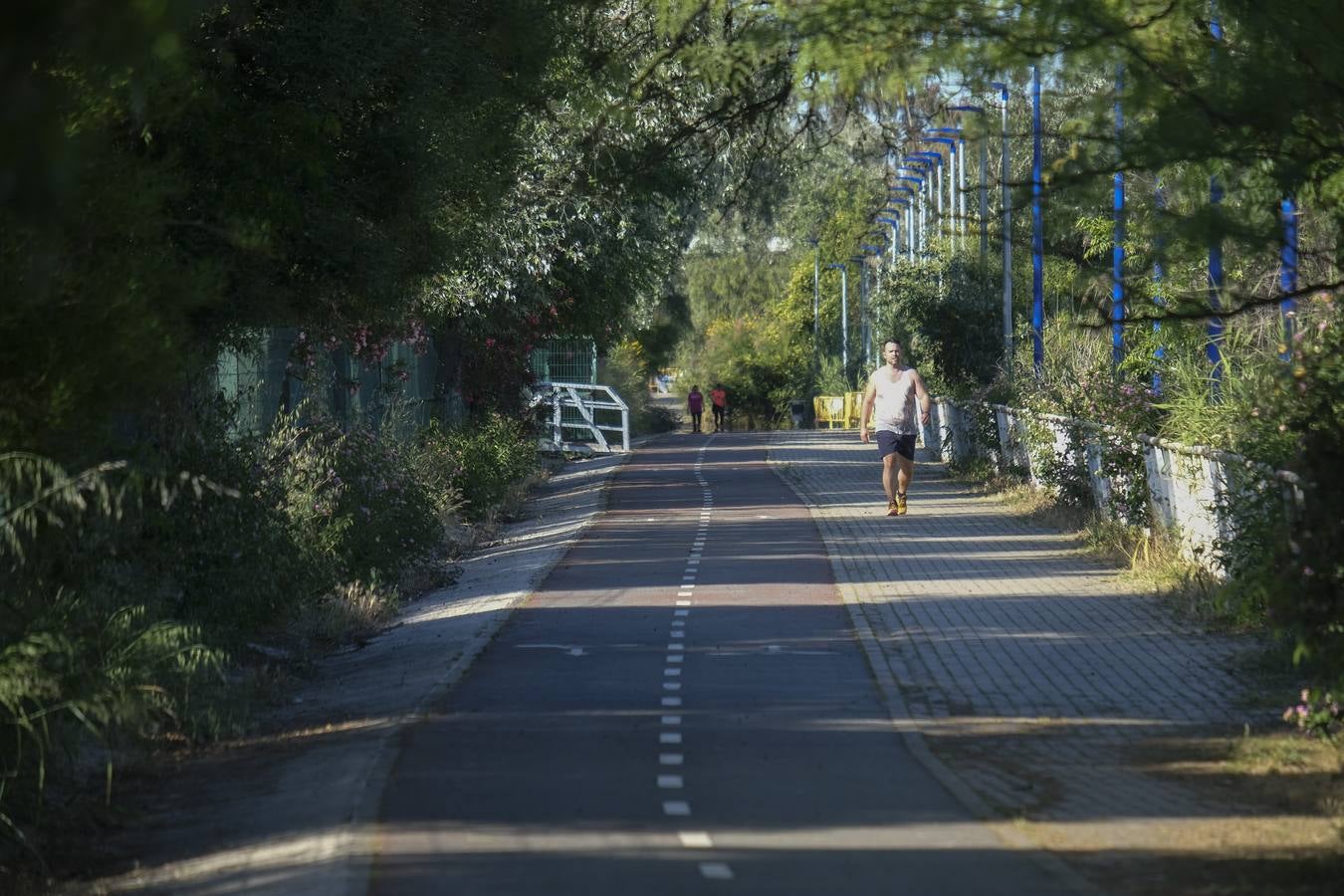 Deterioro y abandono en la orilla del río a su paso por La Cartuja y en el Paseo de Juan Carlos I