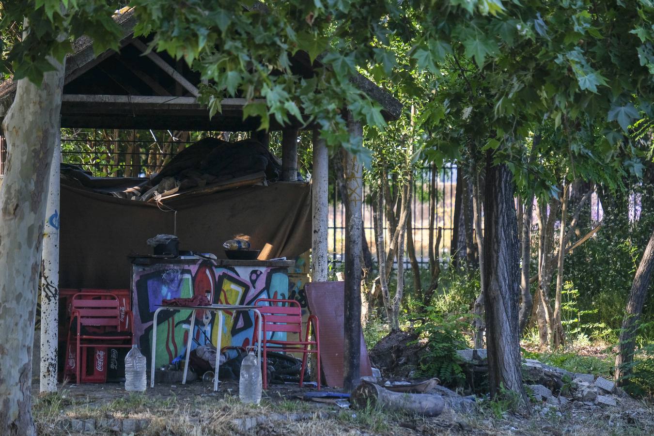 Deterioro y abandono en la orilla del río a su paso por La Cartuja y en el Paseo de Juan Carlos I