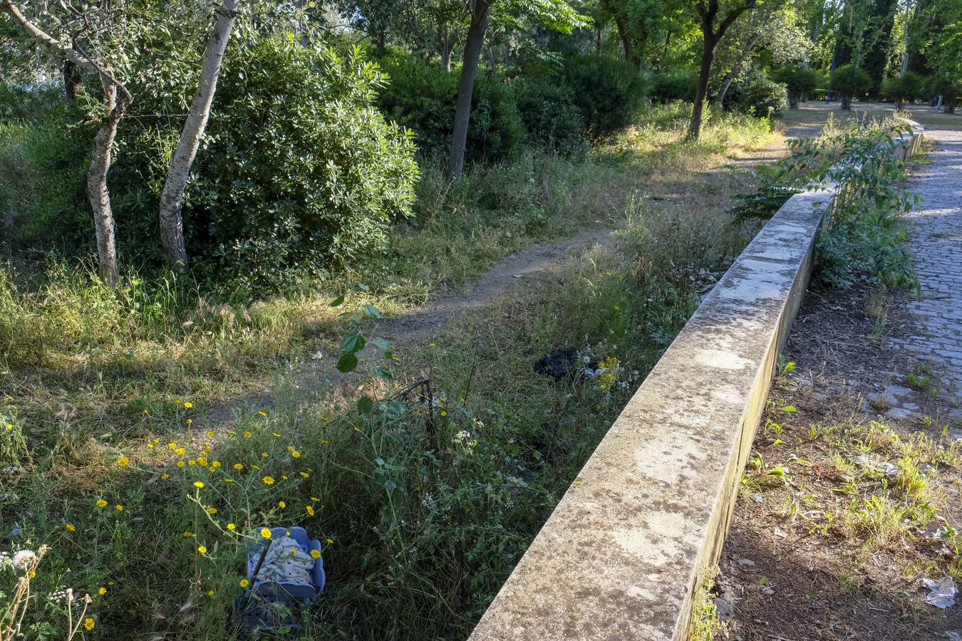 Deterioro y abandono en la orilla del río a su paso por La Cartuja y en el Paseo de Juan Carlos I