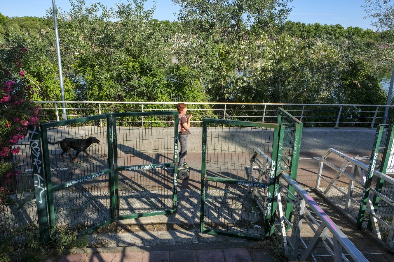 Deterioro y abandono en la orilla del río a su paso por La Cartuja y en el Paseo de Juan Carlos I