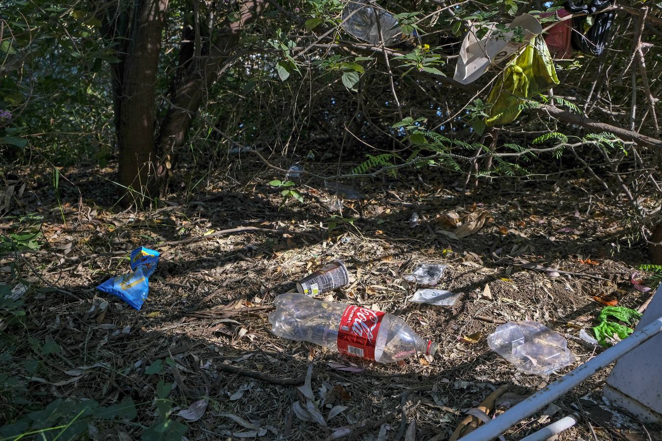 Deterioro y abandono en la orilla del río a su paso por La Cartuja y en el Paseo de Juan Carlos I