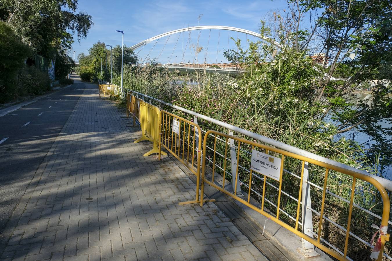 Deterioro y abandono en la orilla del río a su paso por La Cartuja y en el Paseo de Juan Carlos I