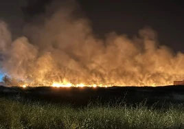 Aparatoso incendio a las afueras de Dos Hermanas
